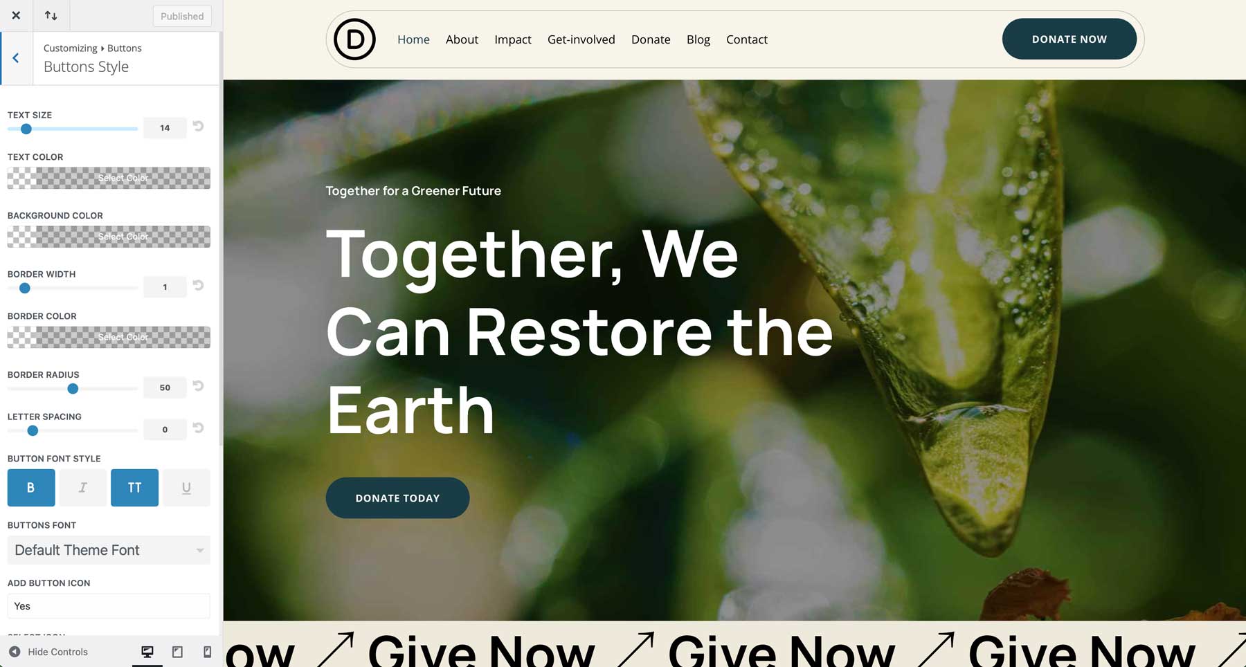 NGO Starter Site für Divi