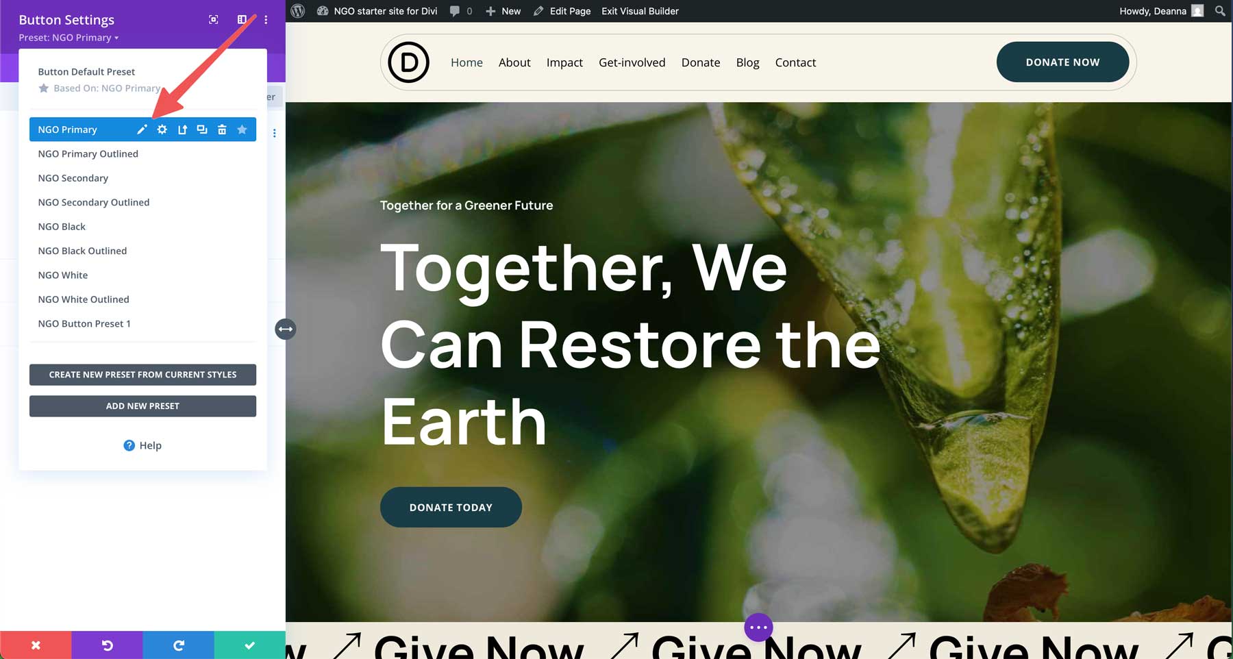 NGO Starter Site für Divi