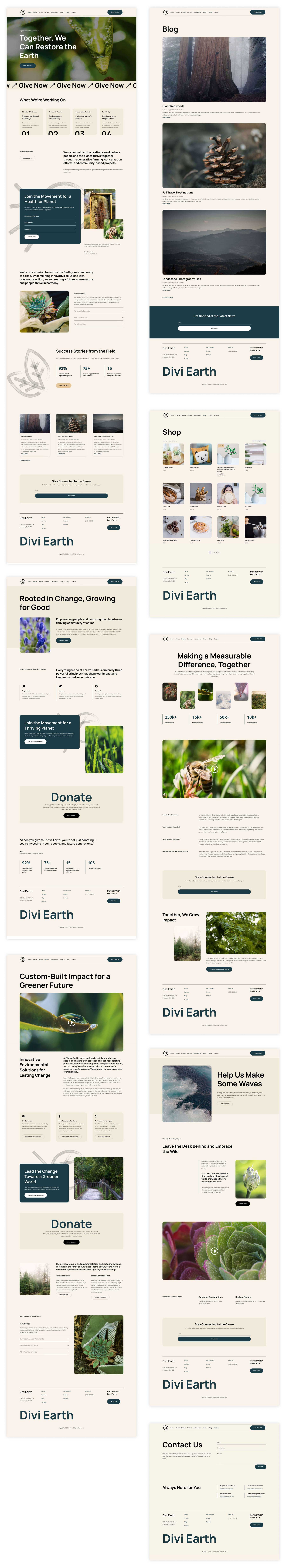 NGO Starter Site für Divi
