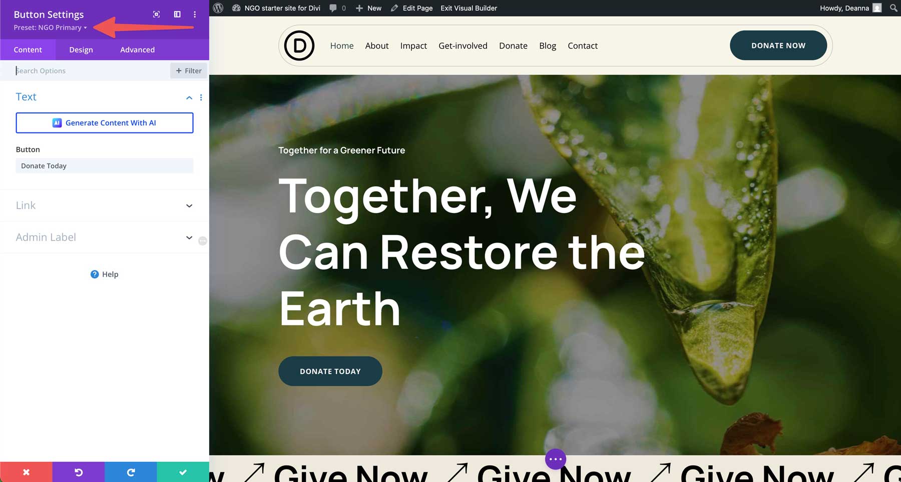 NGO Starter Site für Divi