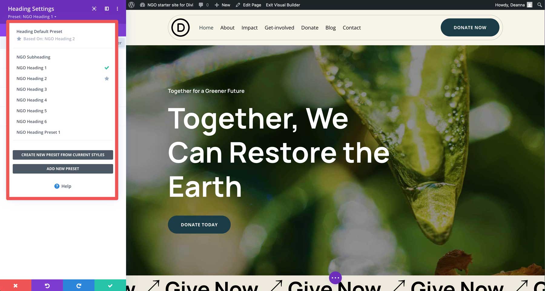 NGO Starter Site für Divi