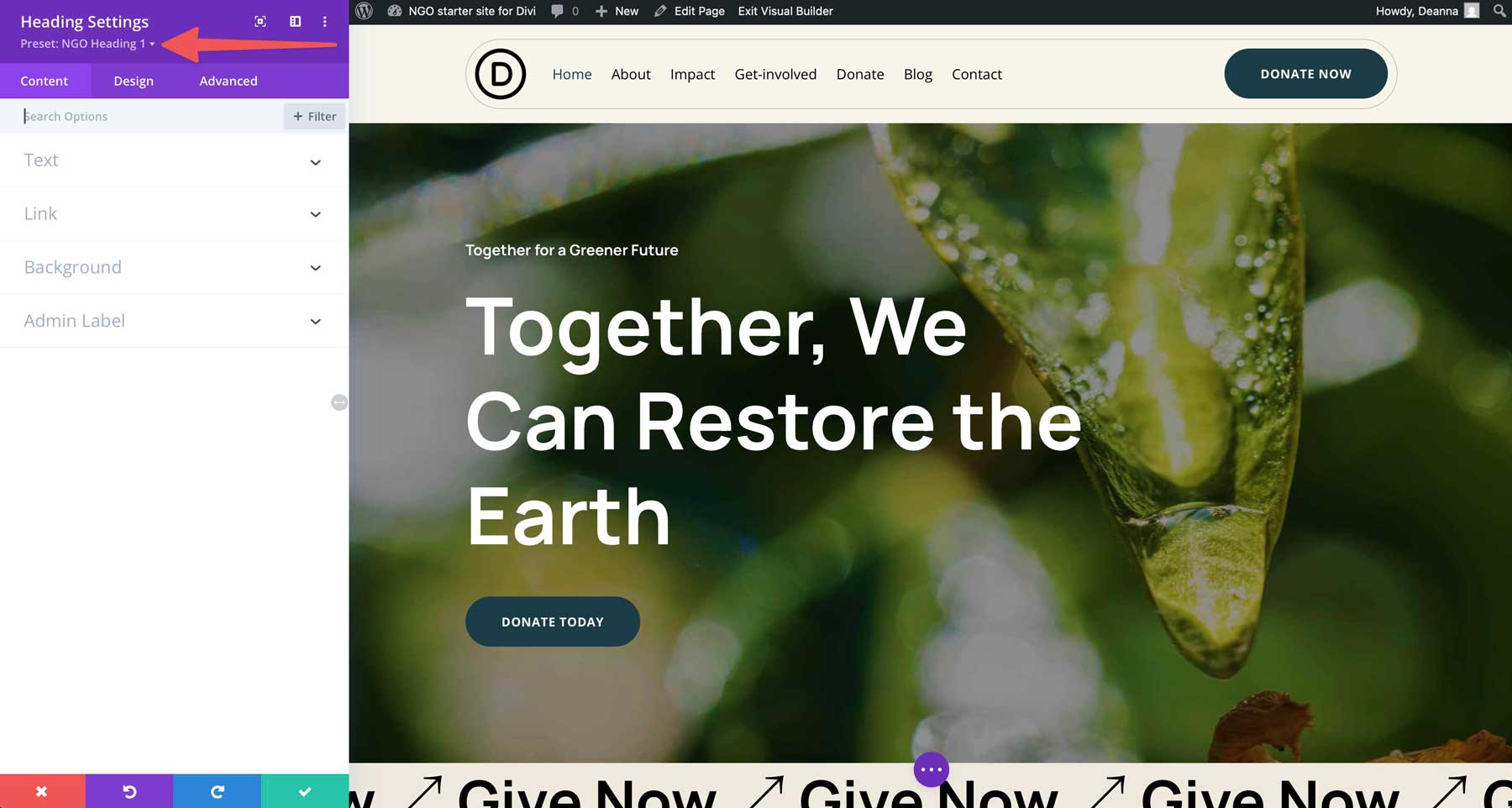 NGO Starter Site für Divi