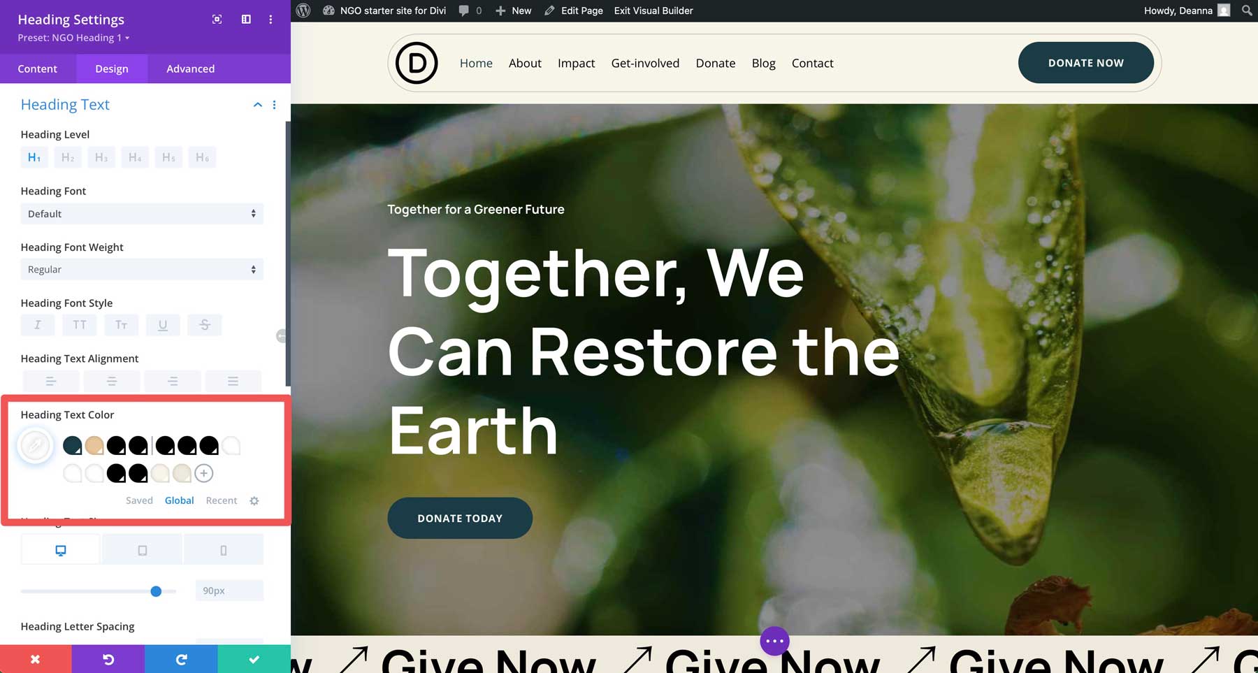 NGO Starter Site für Divi
