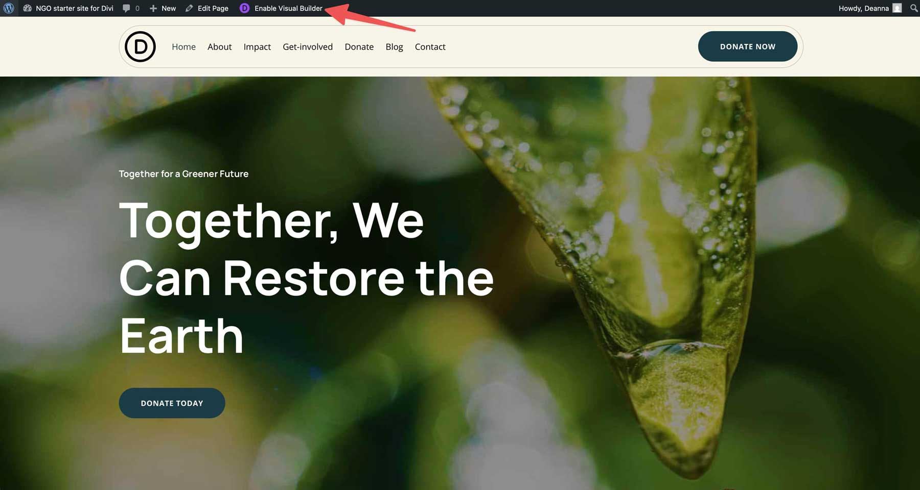NGO Starter Site für Divi