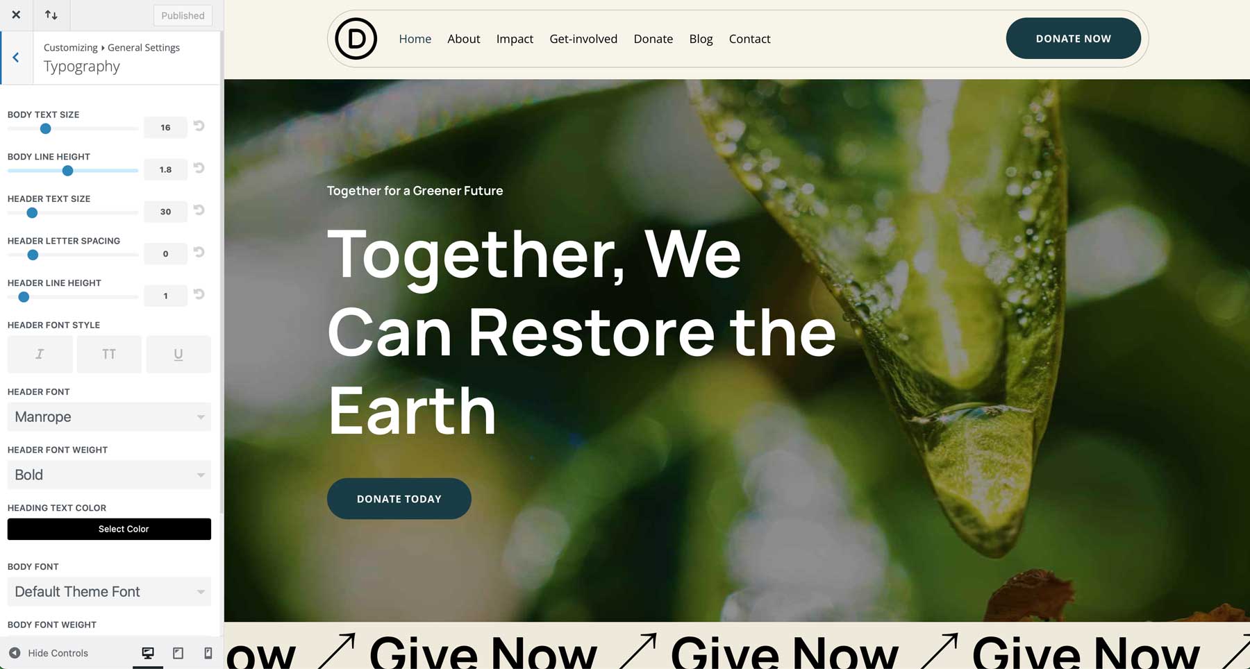 NGO Starter Site für Divi