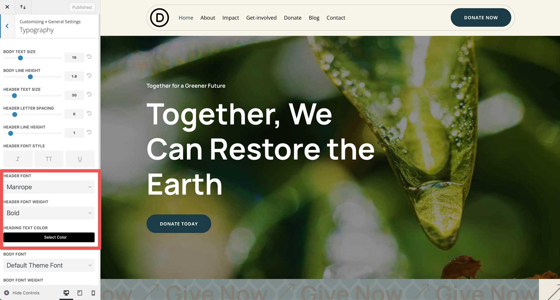 NGO Starter Site für Divi
