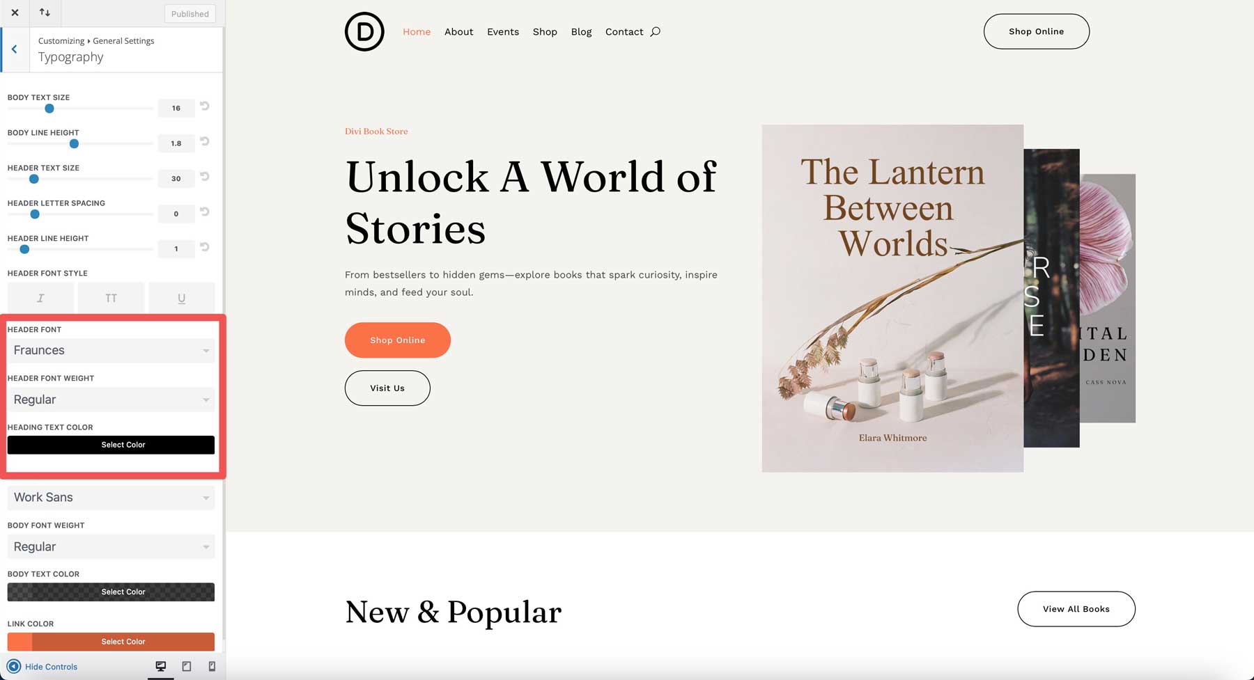 Site de démarrage de la librairie pour divi