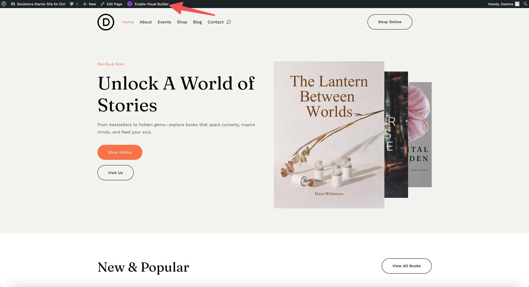 Site de démarrage de la librairie pour divi