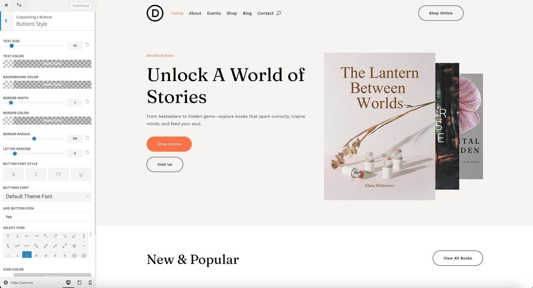 Site de démarrage de la librairie pour divi