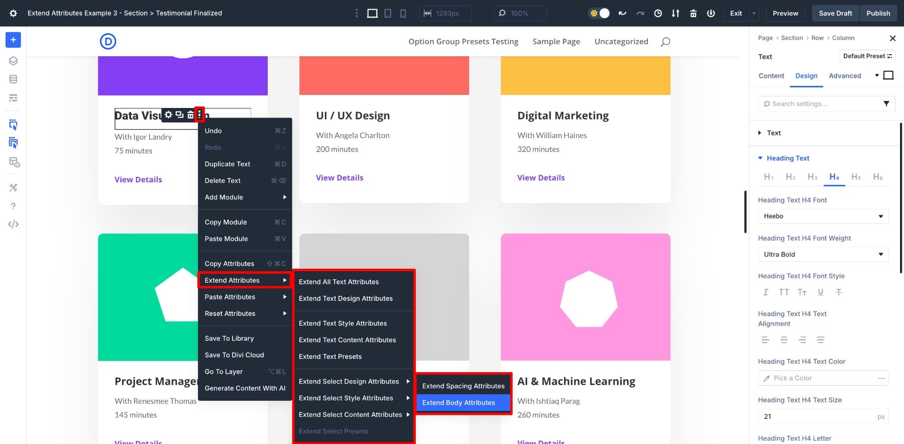 DIVI 5の拡張属性へのアクセス