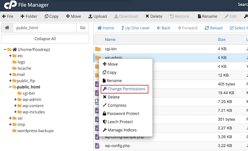 Dosya Yöneticisini CPanel üzerinden açın - Kaynak: Mycpanel