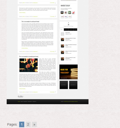 خيارات البرنامج المساعد WordPress Pagination