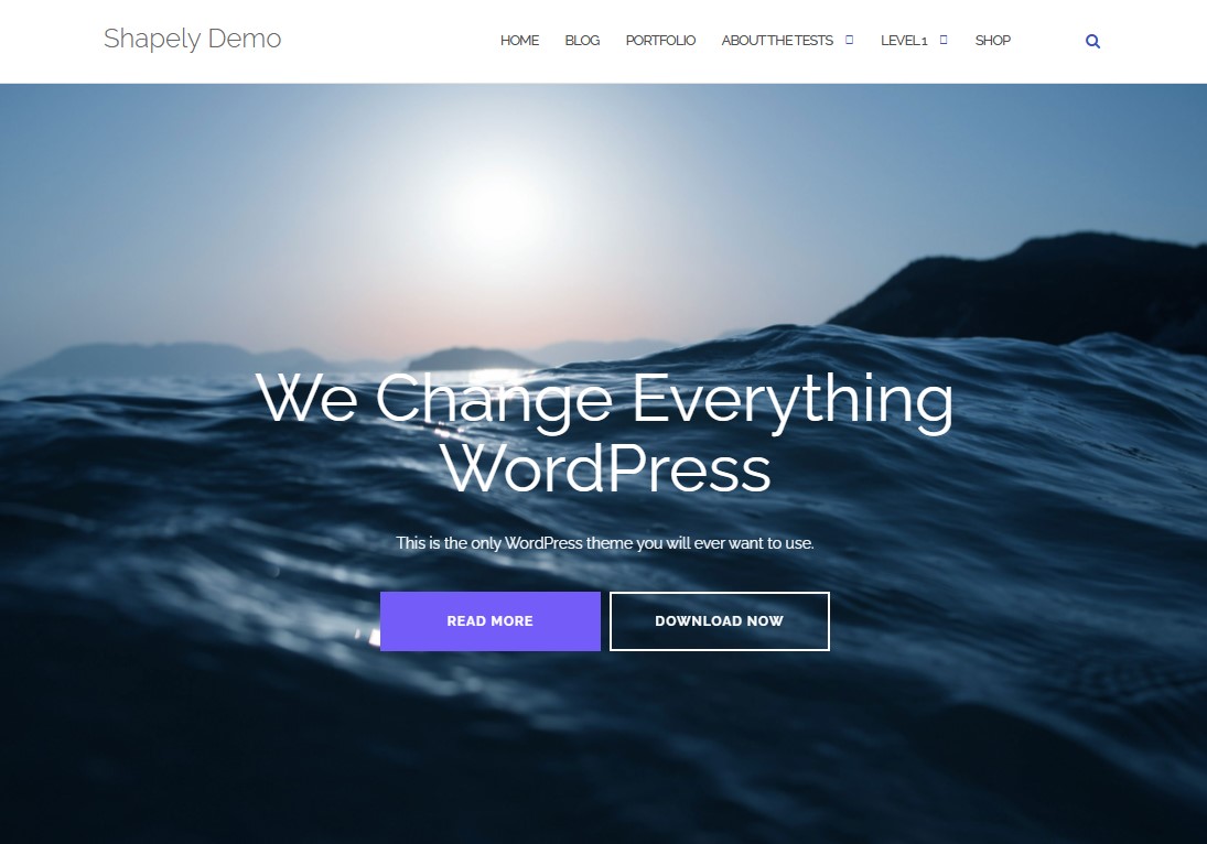 형식 - 한 페이지 WordPress 테마