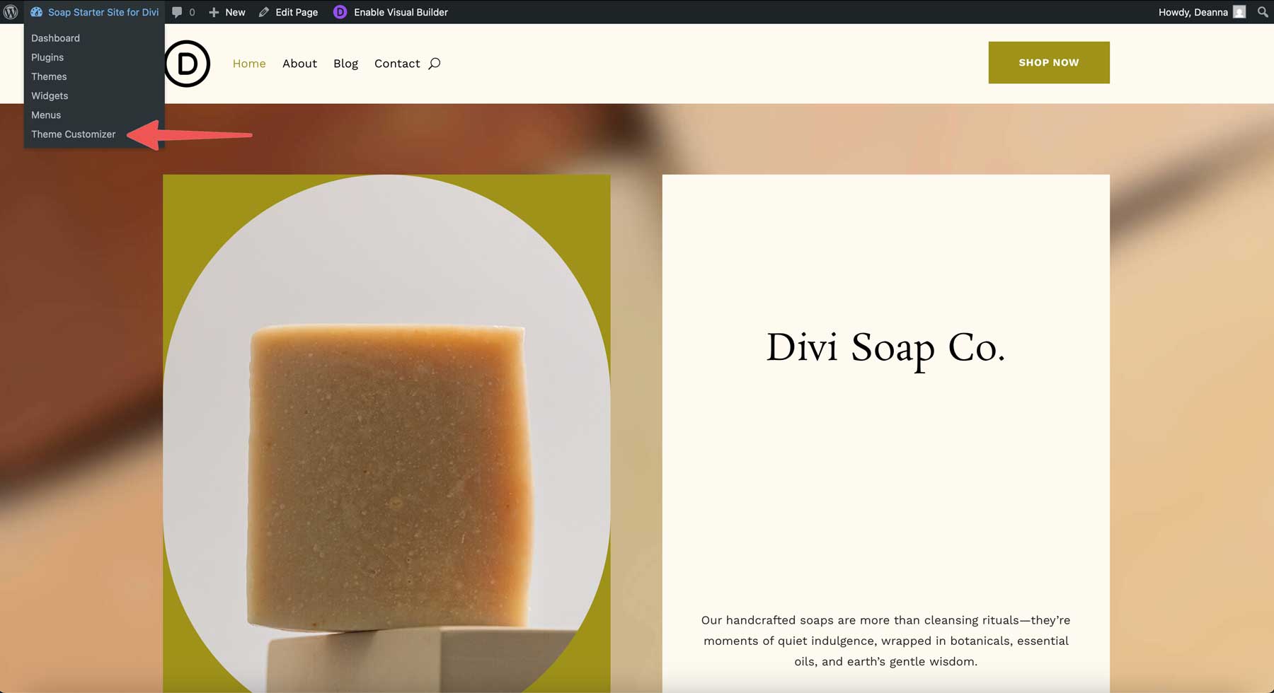 Situs starter sabun untuk divi