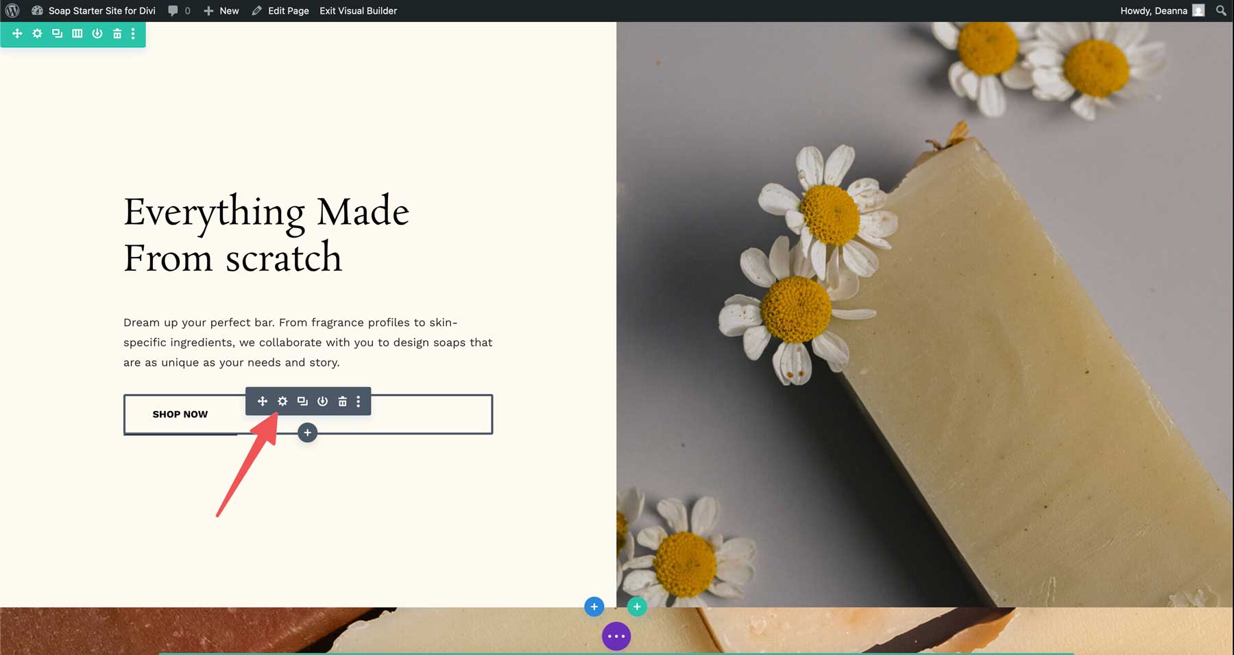 Situs starter sabun untuk divi