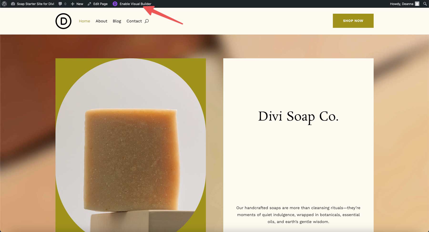 Situs starter sabun untuk divi