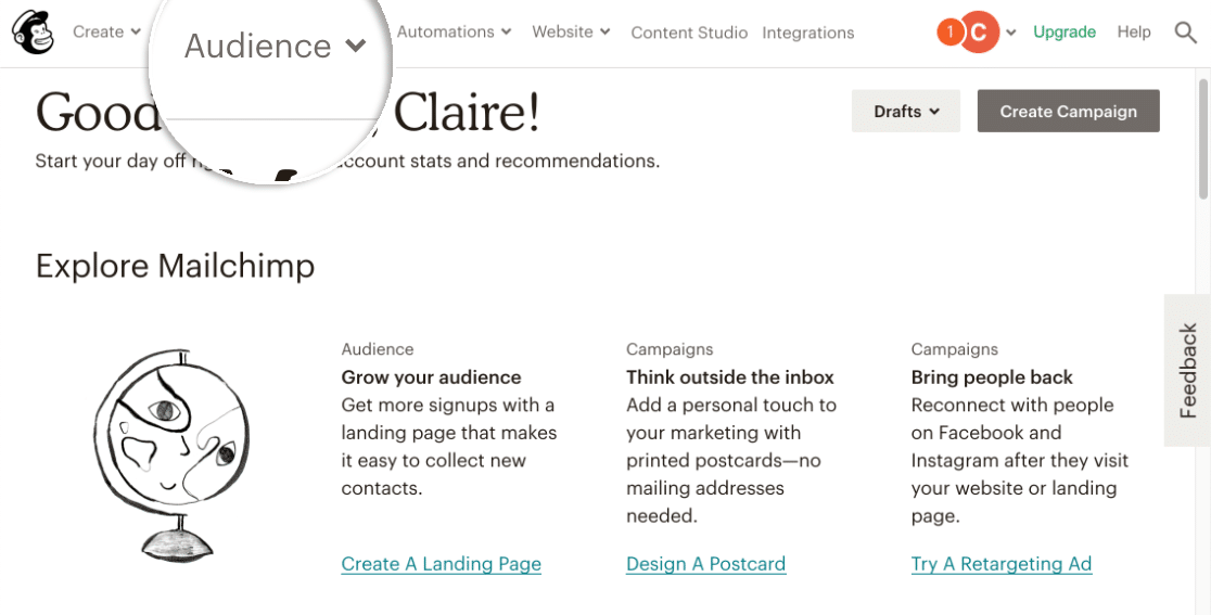 علامة جمهور Mailchimp