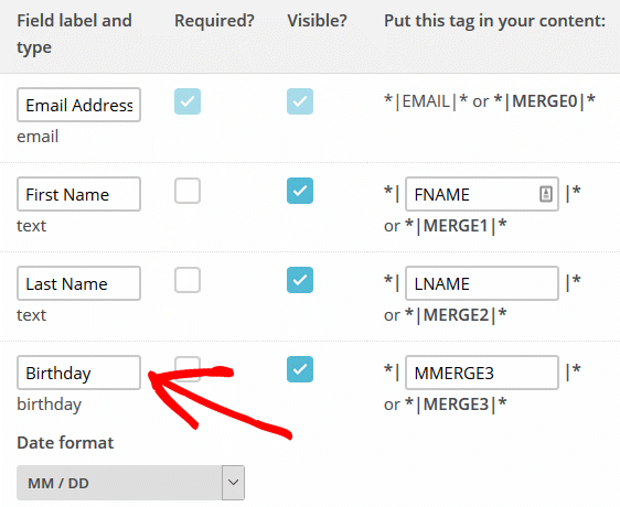 إنشاء حقول مخصصة في MailChimp - حقول قائمة MailChimp وشاشة دمج العلامات ، حقل مخصص لعيد الميلاد