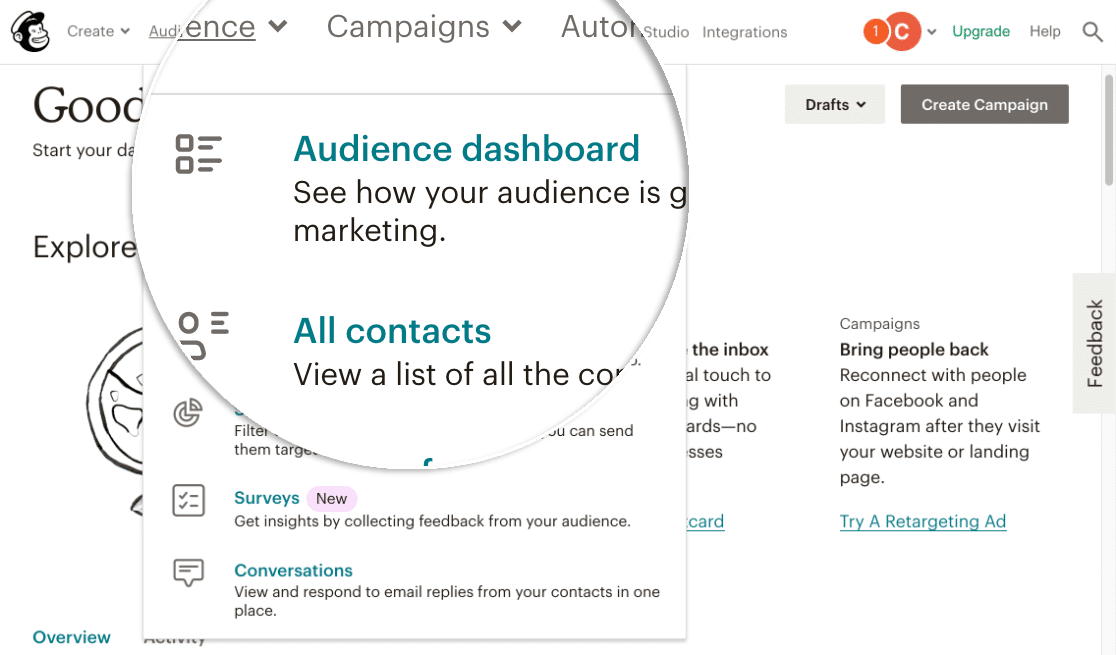 Mailchimp Audience Dashboard للعلامات المخصصة