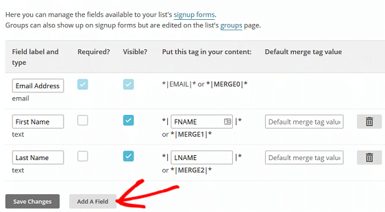 إنشاء حقول مخصصة في MailChimp - حقول قائمة MailChimp وشاشة دمج العلامات