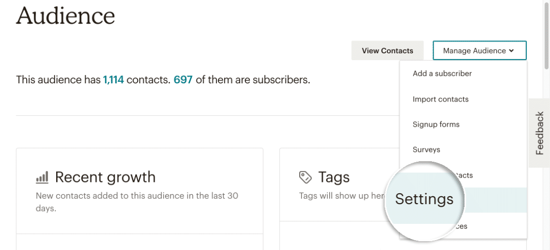 إعدادات الجمهور في Mailchimp