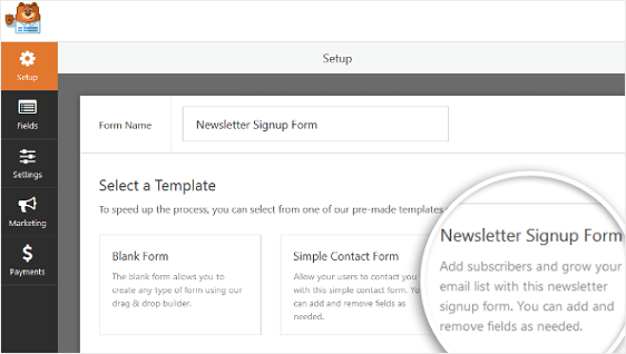 Wordpress'e hüküm ve koşullar eklemek için Bülten Kayıt Formu Şablonu