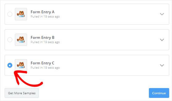 Test amacıyla Form Girişini seçin