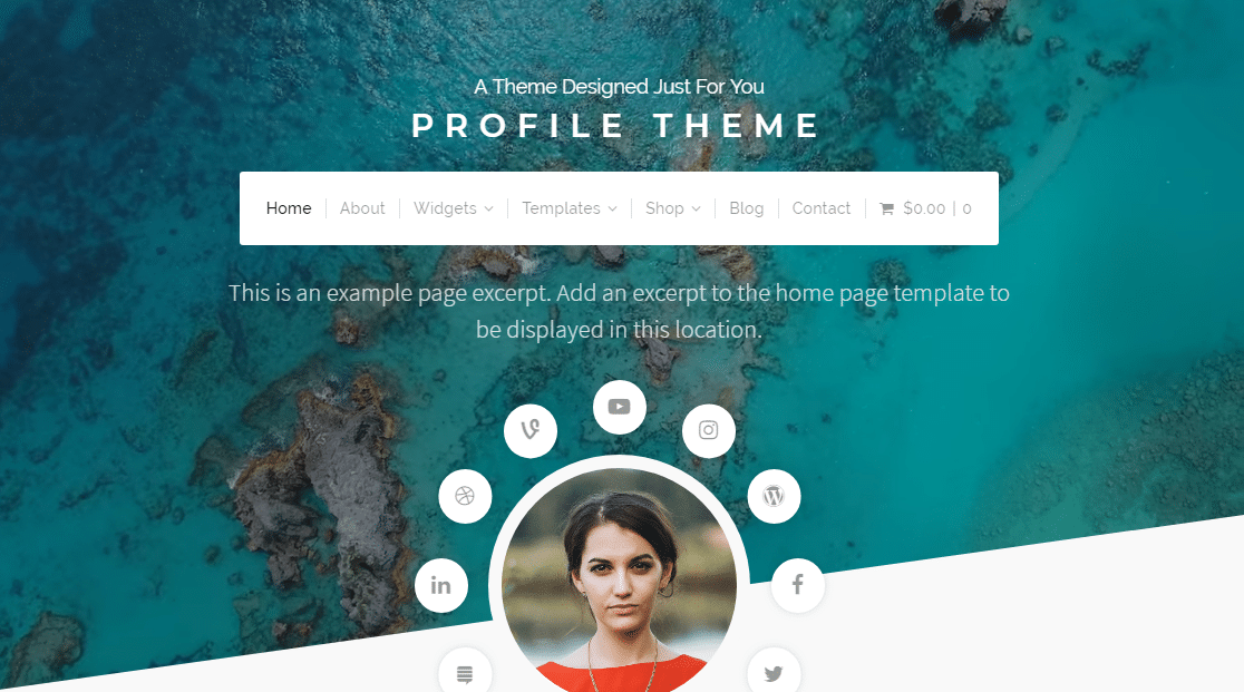 tema de currículo de perfil