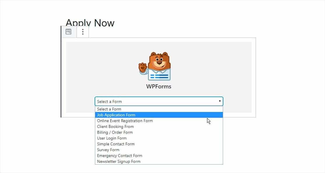 web sayfasına iş başvuru formu ekleme
