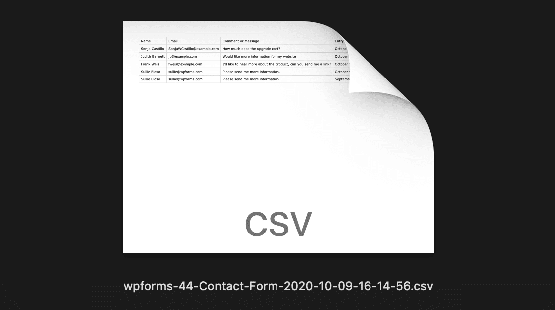 Exportieren Sie alle Formulareinträge in CSV von WordPress