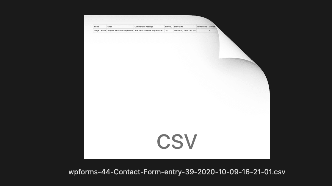 Einzelne Formulareinträge aus WordPress in CSV exportieren