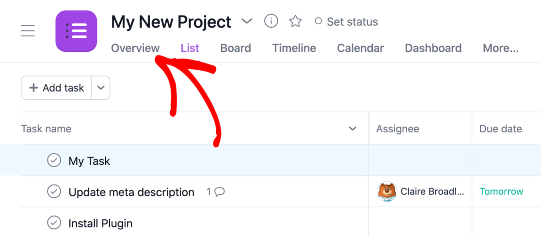 Asana 中的项目概览选项卡