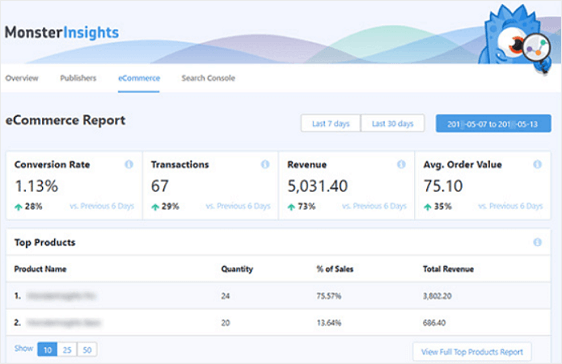 monsterinsights e-ticaret raporu