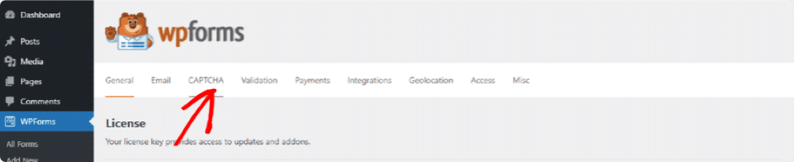 CAPTCHA-Tab von WPForms
